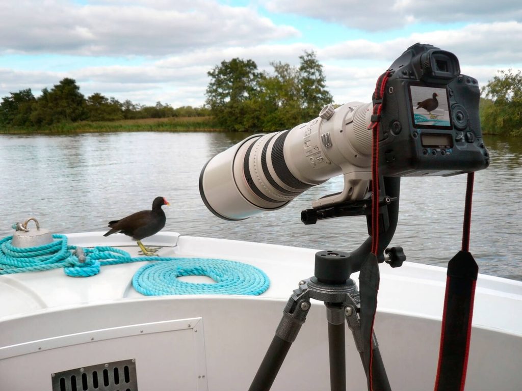 A large telephoto lens is often required to get you close to the wildlife-Mateys Wild Tours