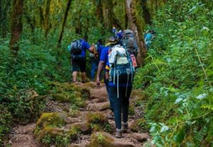 Nature Walk-Mateys Wild Tours