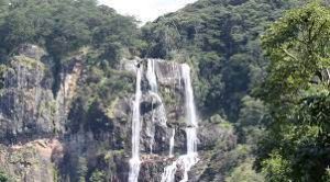 white-balance-Tanzania-Mateys-Wild-Tours 