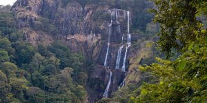  white-balance-well-Udzungwa-Tanzania- Mateys-Wild-Tours