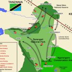 The Cycle of Great Wildebeest Migration