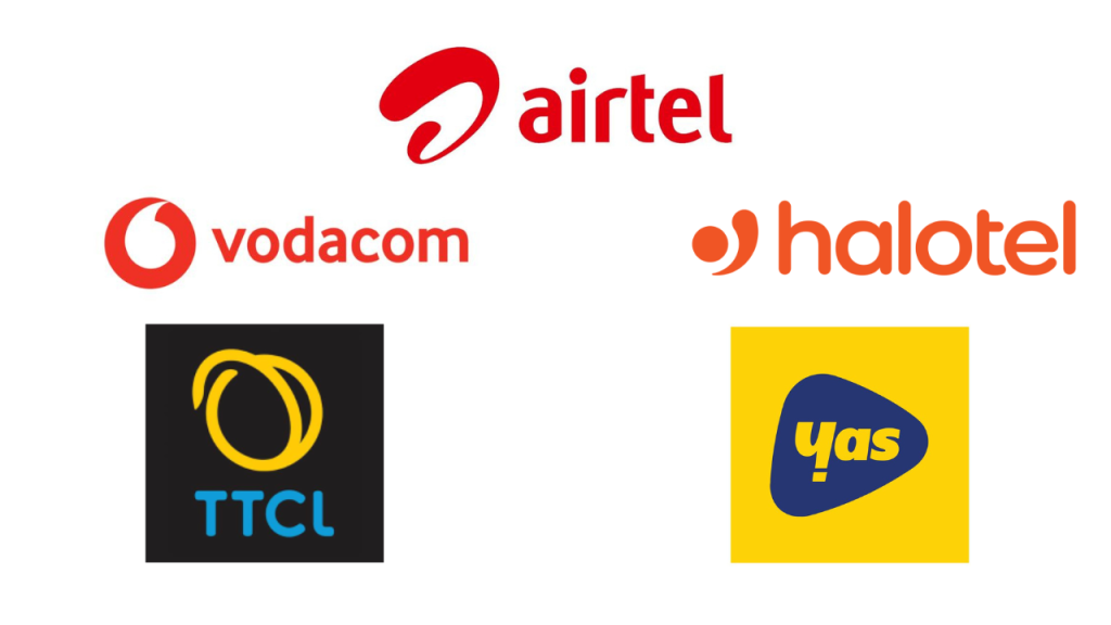 Internet Access In Tanzania-Mateys Wild Tours