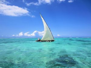 Safari-Blue-Mateys-Wild-Tours#Zanzibar