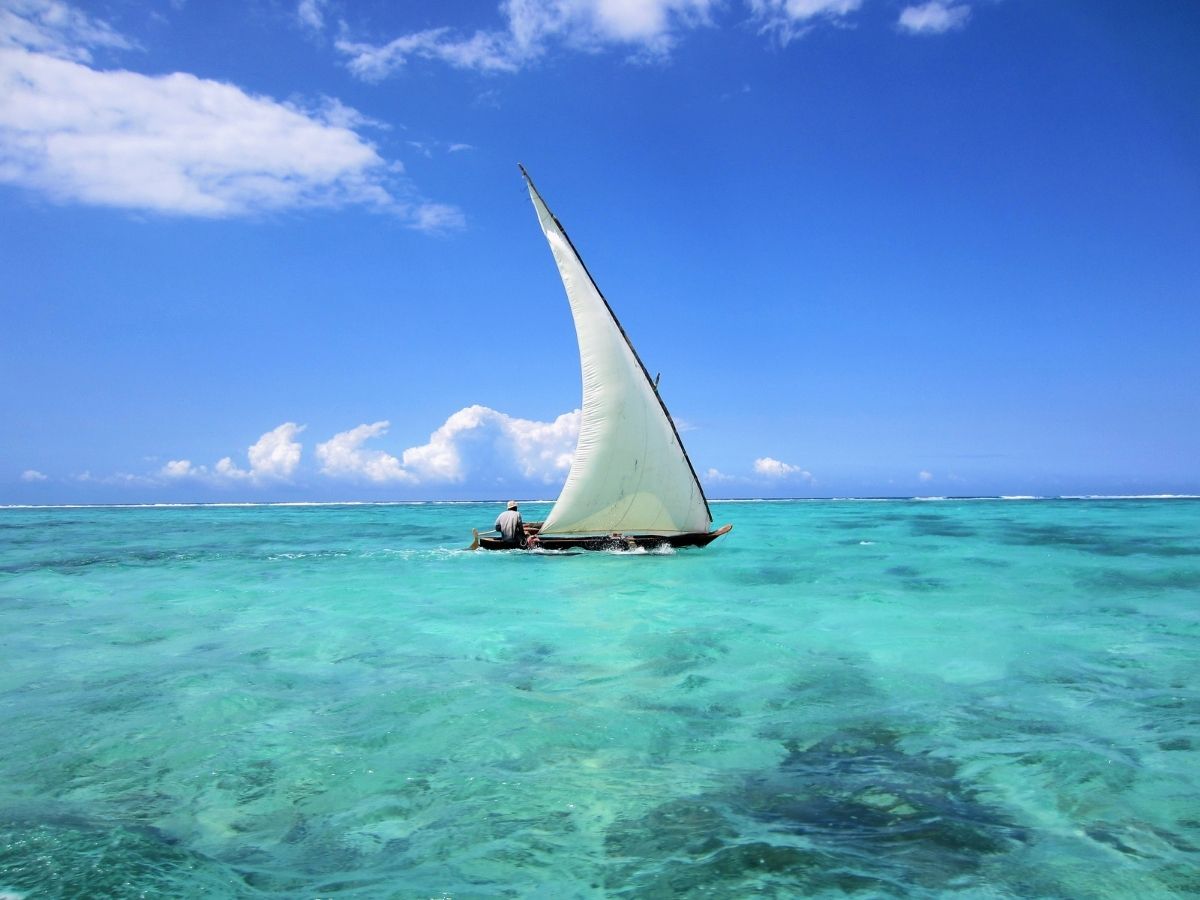 Safari-Blue-Mateys-Wild-Tours#Zanzibar