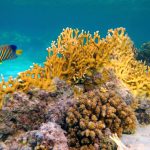 15 Things To Do in Zanzibar