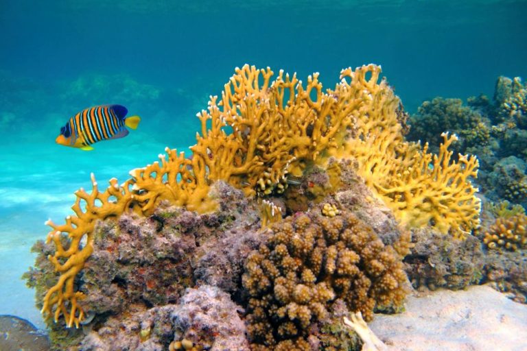 Zanzibar Excursion-Mateys Wild Tours