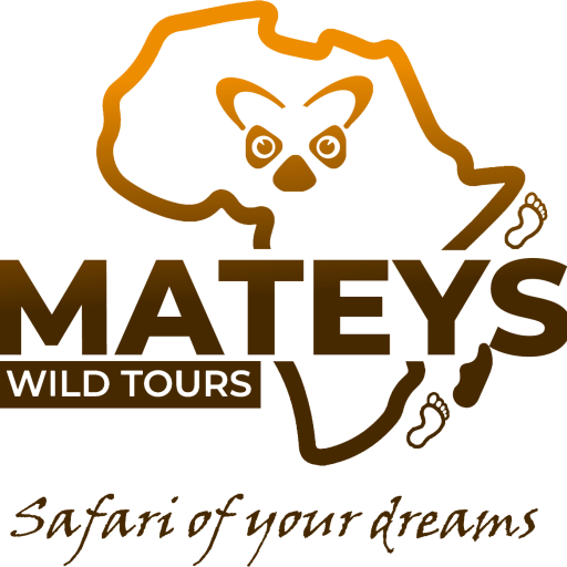 Mateys wild Tours