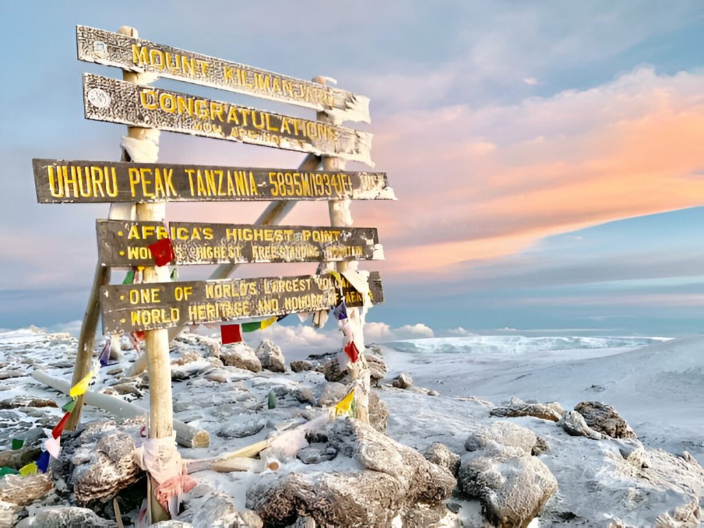 Mount Kilimanjaro Lemosho Route-Mateys Wild Tours