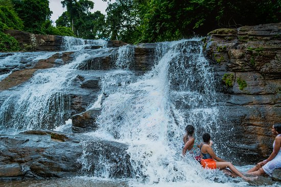 Amani-Nature-forest-reserve-Mateys Wild Tours