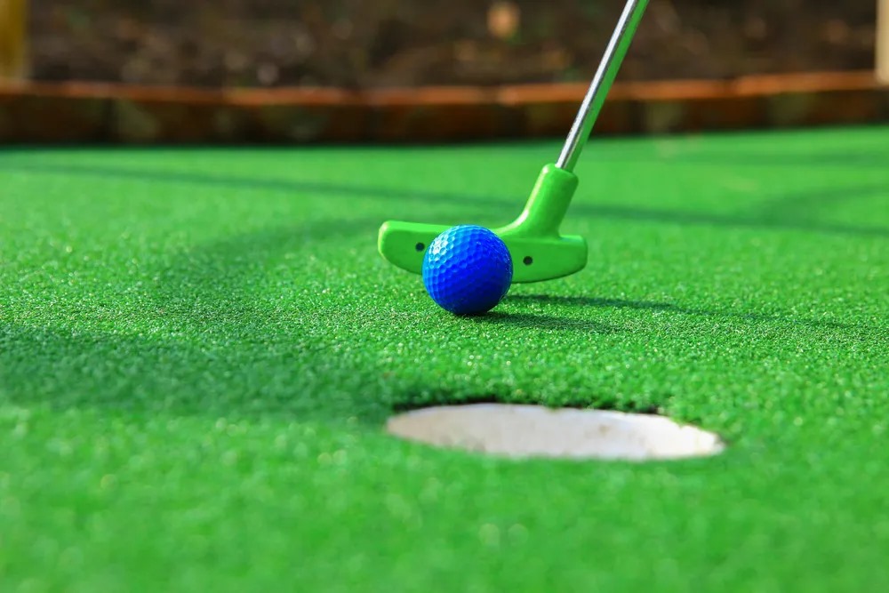 Mini-Golf-Mateys ours-Napuru
