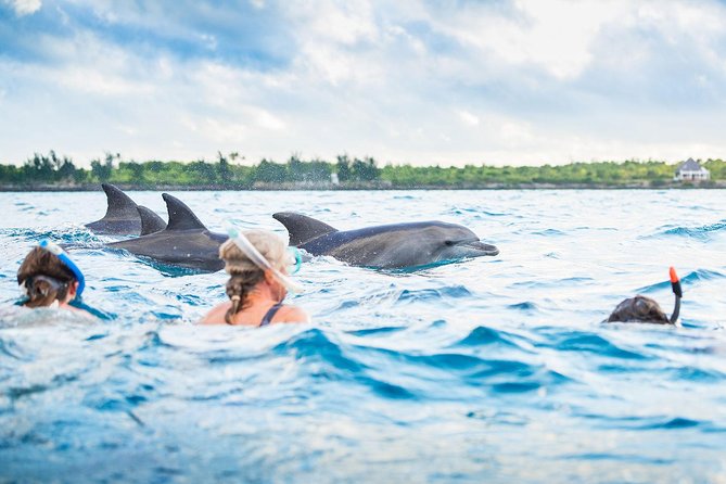 Best Time To visit Zanzibar-Mateys Wild Tours