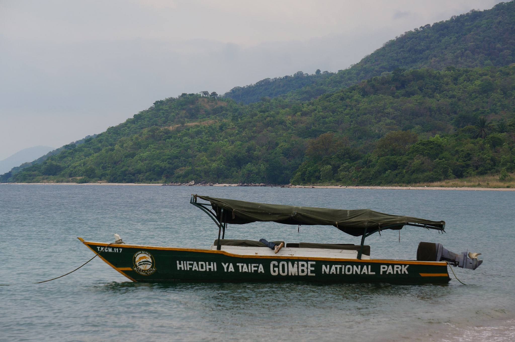 Boat-Safari-Gombe-Mateys Wild Tours