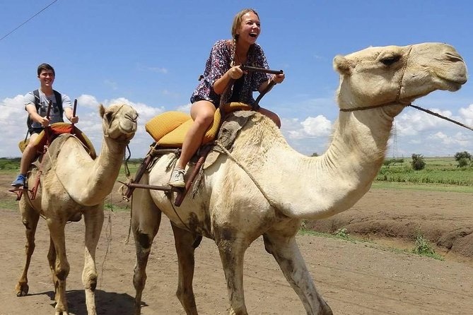 Camel-Riding-Meserani-Snake Park-Mateys Wild Tours