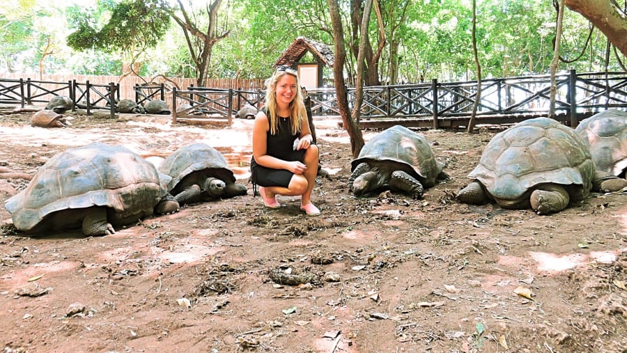 Giant-Aldabra-Tortoise-Prisons-Island-Mateys Wild-Tours