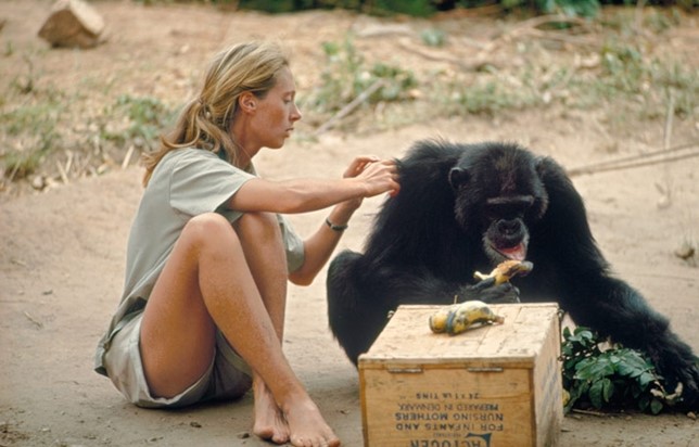 Gombe-Stream-National-Park-Jane Goodal-Mateys Tours