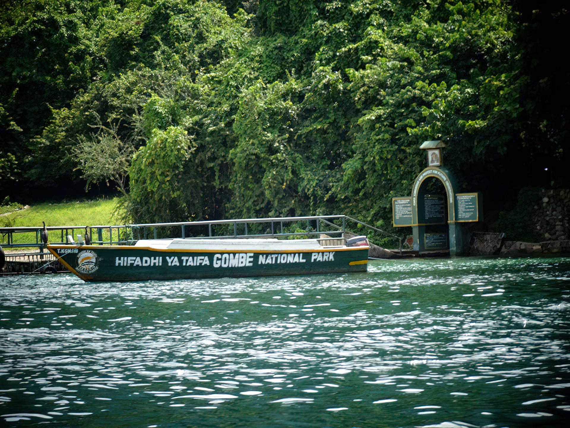 Gombe-Boat Safari-Mateys Wild Tours