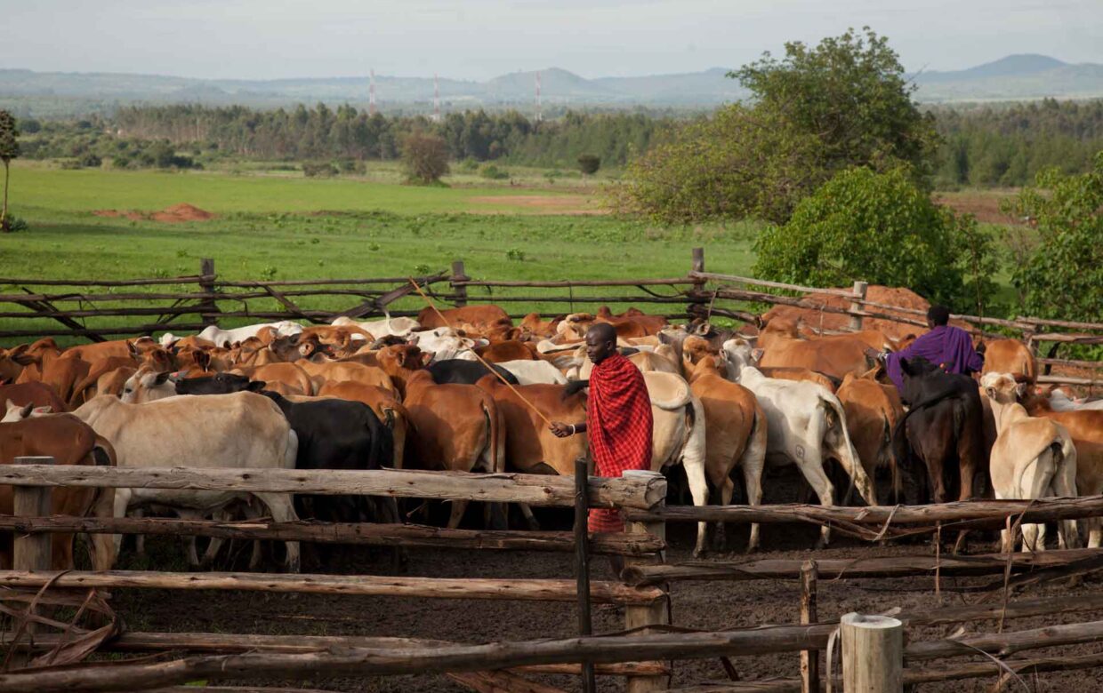 Kisolanza-Old-Farm-House-Mateys Wild Tours