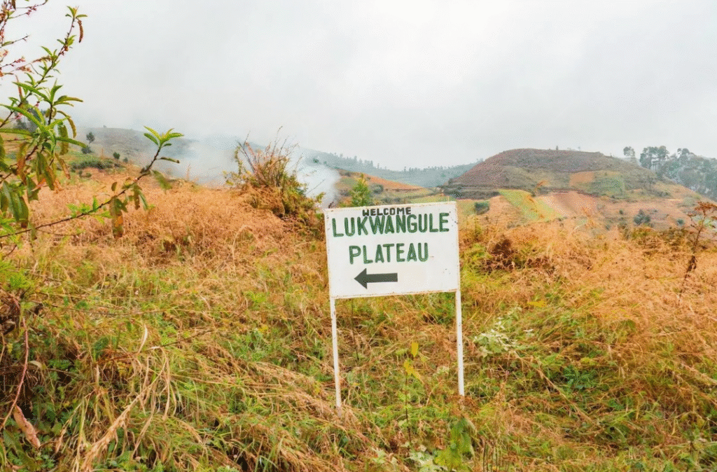 Lukwangule Plateau-Uluguru-Mateys Wild Tours.
