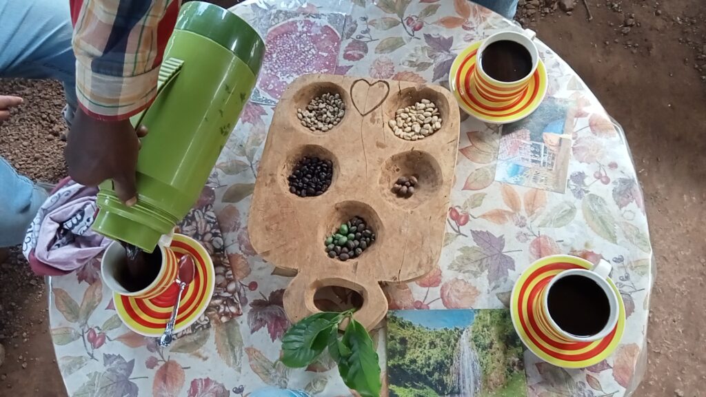 Materuni Village-Mateys Tours