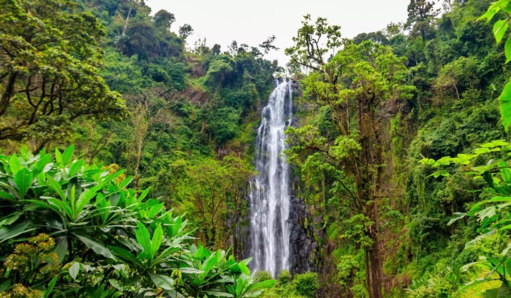 Materuni Waterfalls-Mateys Tours
