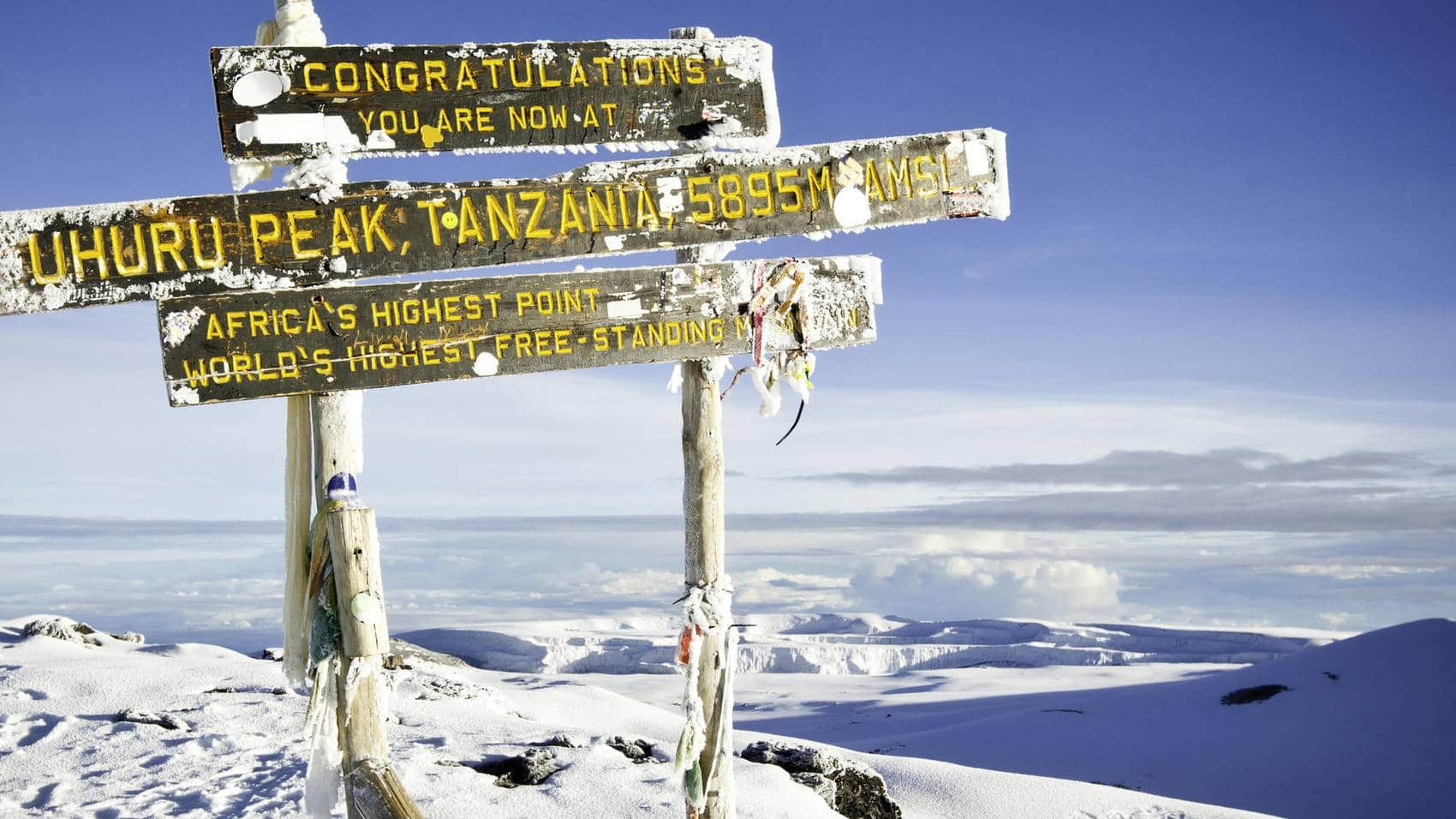 Mount Kilimanjaro National Park-Mateys Wild Tours