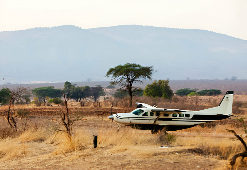 Flight-Ruaha-Mateys Wild Tours