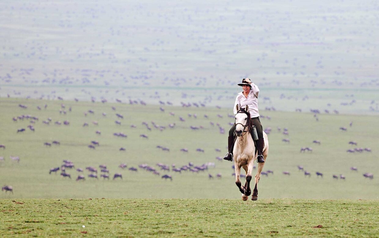 Safari-Serengeti-Tanzania-Mateys Wild Tours