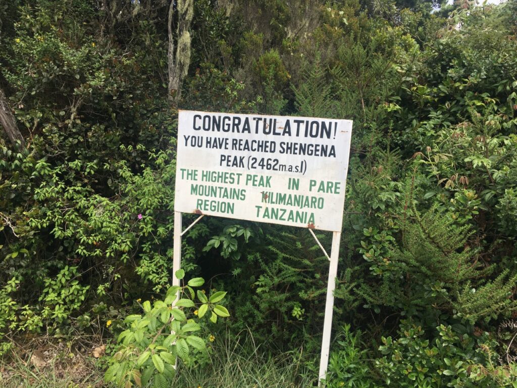 Shangena Peak-Pare Mountains-Mateys Tours