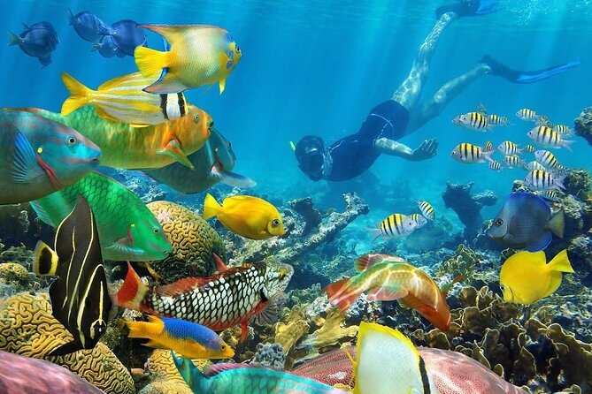 Snorkeling-Zanzibar-Mateys Wild Tours-Mnemba Island