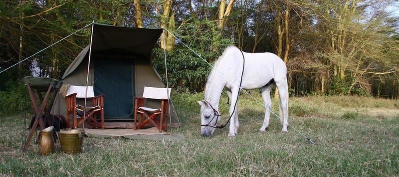 Tanzania-horse-safaris-Mateys Tours