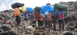 Tips For Poters By Mateys Tours