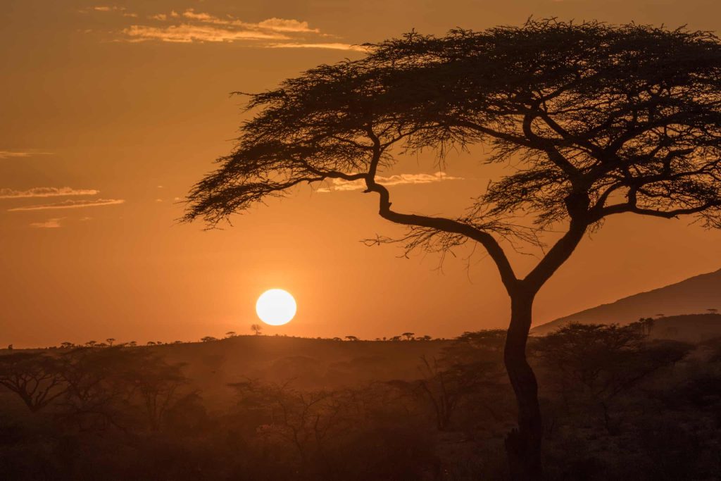 Buffalo-Springs-National-Reserve-sunrise-Mateys Wild Tours