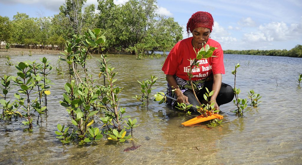 Community Conservations-Costal Kenya-Mida Creek-Mateys Wild Tours