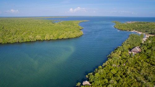Gazi Bay - Diani Beach - Mateys Wild Tours
