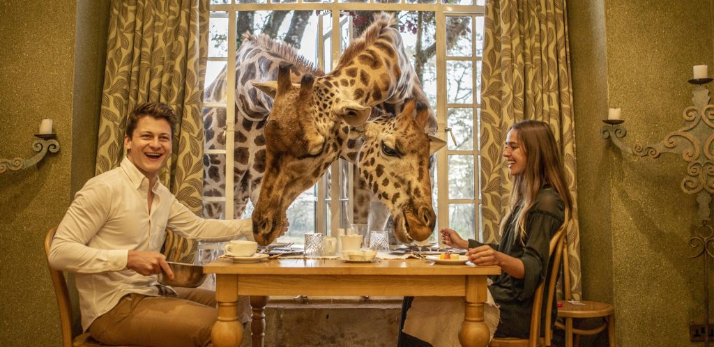 Giraffe Manor-Mateys Wild Tours