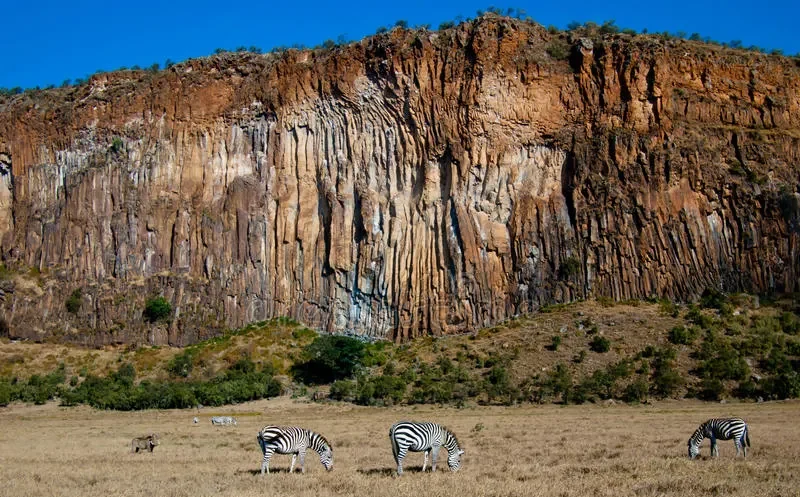 Animals and View of Gorge-Mateys Wild Tours