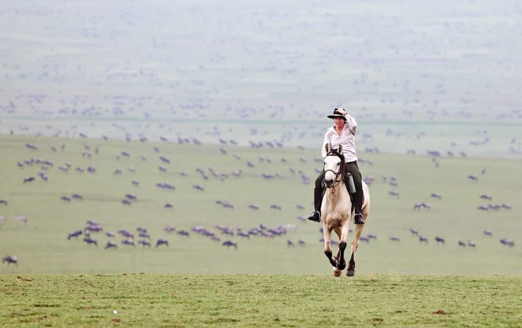 Horse Safari-Ndutu-Mateys Wild Tours