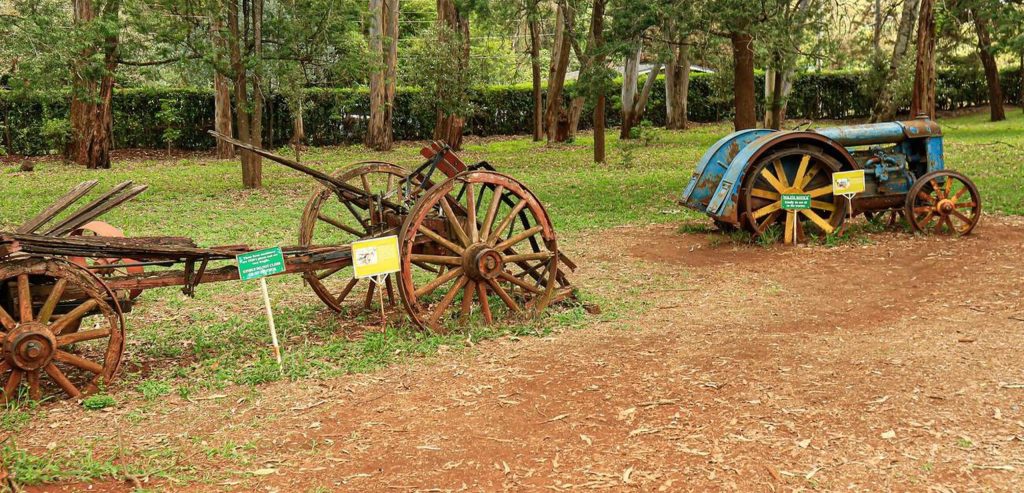 Karen Blixen National Museum, Mateys Wild Tours-Kenya