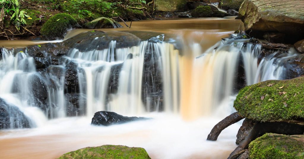 Karura Forest-Nairobi-Kenya-Mateys Wild Tours.