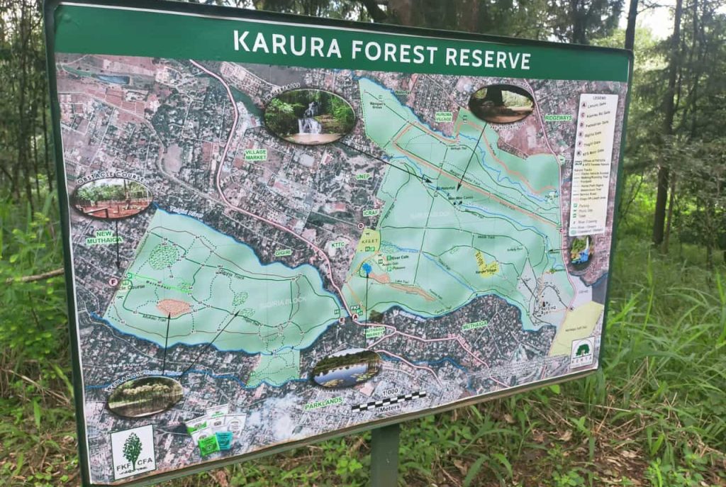 Karura-Forest-Reserve-Kenya-Mateys Wild Tours
