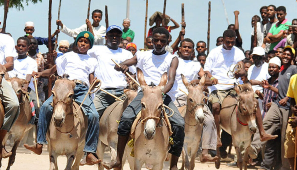 Lamu-Donkey-Race-in-Kenya-Mateys Wild Tours
