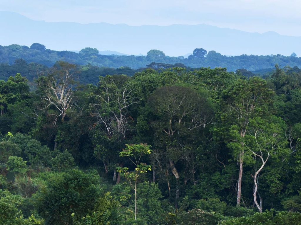 Landscape View-Kibale Natioanl Park-Mateys Wild Tours-Uganda