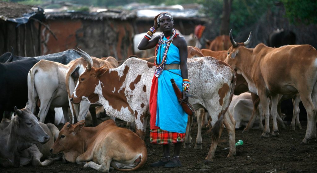 Maasai-Woman-and-Cattle-Mara Triangle.