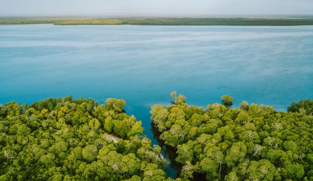 Mida Creek-Birding Area-Malindi-Mateys Wild Tours-Kenya