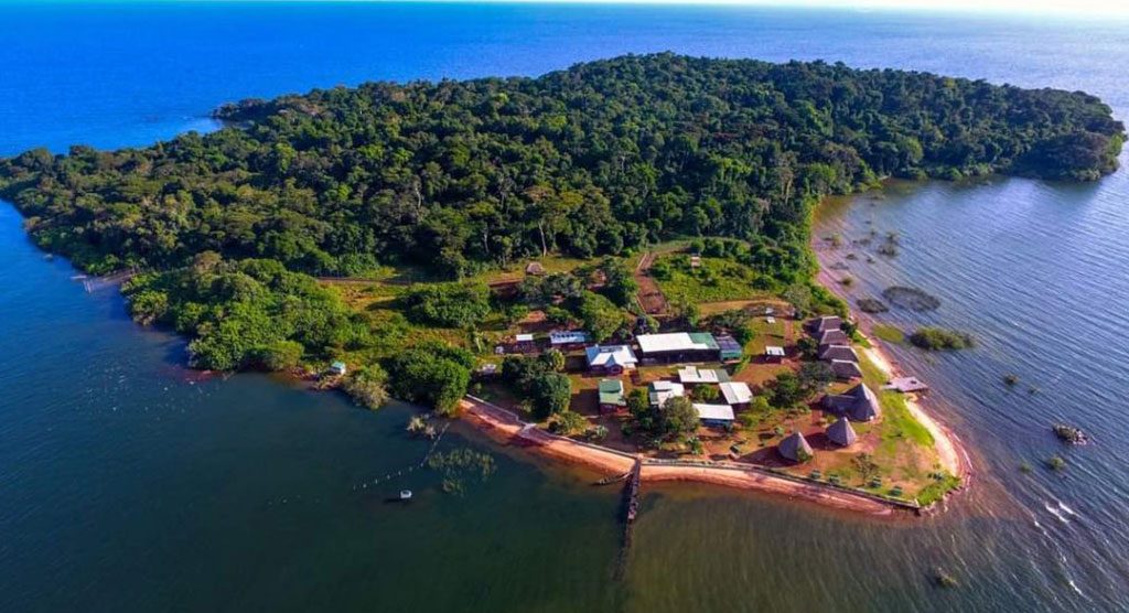 Ngamba-Island-Chimpanzee-Sanctuary-Mateys Wild Tours