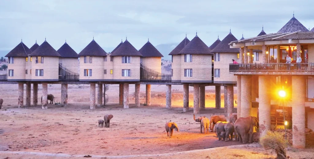 Salt-Lick-Safari Lodge-Kenya-Mateys Wild Tours