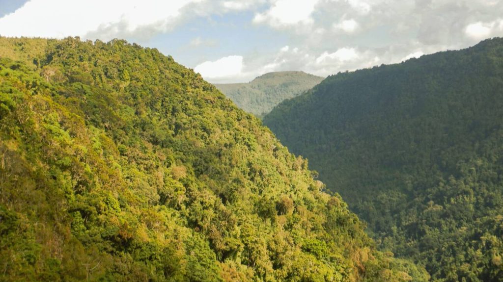 Scenic Landscape of Aberdare National Park Mateys Wild Tours scaled e1757602799844