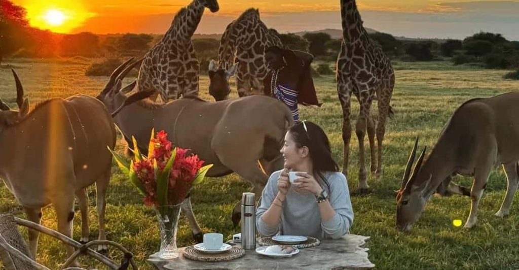 Sundown in Serval-Mateys Wild Tours