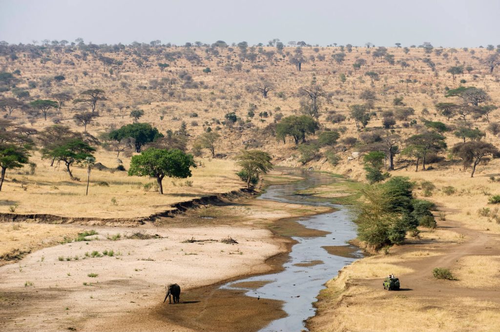 Tarangire National Park in Dry Season-Mateys Wild Tours