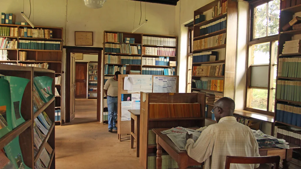 The Amani library was once a very different place-Mateys Wild Tours
